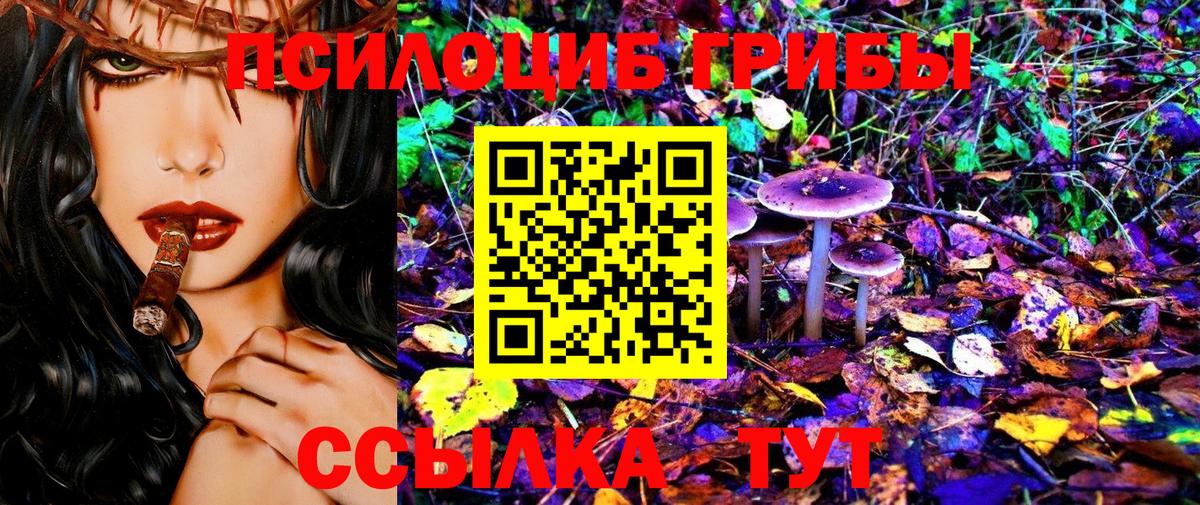 Псилоцибиновые грибы Cubensis  Псилоцибиновые грибы GOLDEN TEACHER  Борзя  Вход с VPN 